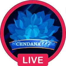 Cendana777 qq1221